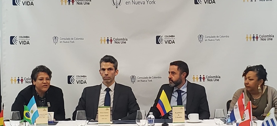 Recursos y herramientas para el fortalecimiento de salud, una prioridad de Colombia en la agenda de la Coalición de Cónsules Latinoamericanos de Nueva York
